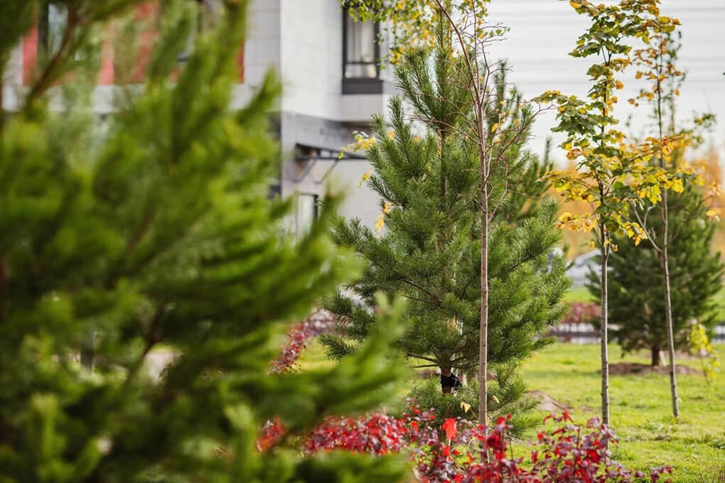 Замкнутый цикл переработки в мусорной отрасли: опыт Петербурга