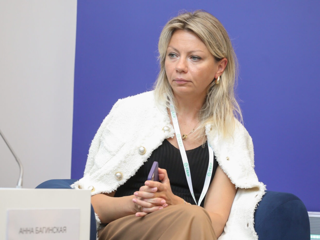 Руководитель центра ГЧП Сбербанка Анна Багинская Руководитель центра ГЧП Сбербанка Анна Багинская