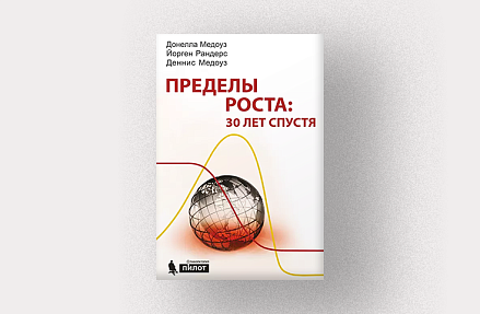 Деннис Медоуз, Донелла Медоуз, Йорген Рандерс, «Пределы роста: 30 лет спустя»