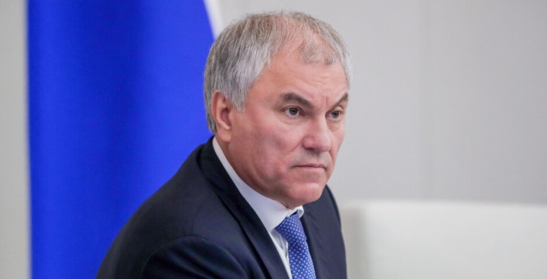 Вячеслав Володин раскритиковал противников законопроекта о бездомных животных