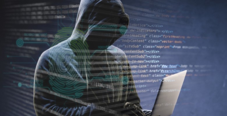 «Белые хакеры» за год выявили более 6000 уязвимостей в российских IT-системах