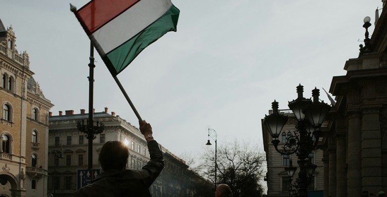 Парламент Венгрии проголосовал за выход страны из МУС