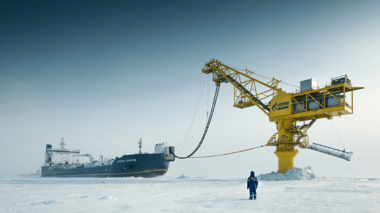 Фото: arctic-russia.ru