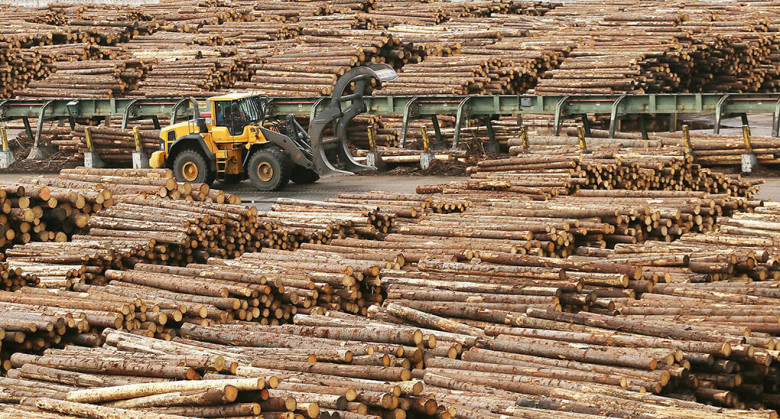 Фото: Виктор Бартенев / Интерпресс