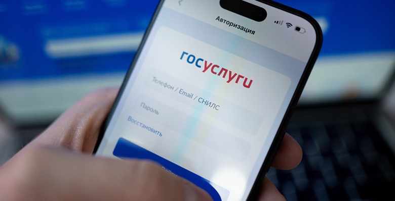Злостным неплательщикам алиментов могут ограничить доступ к «Госуслугам»
