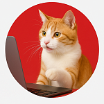 Котик бизнесмен
