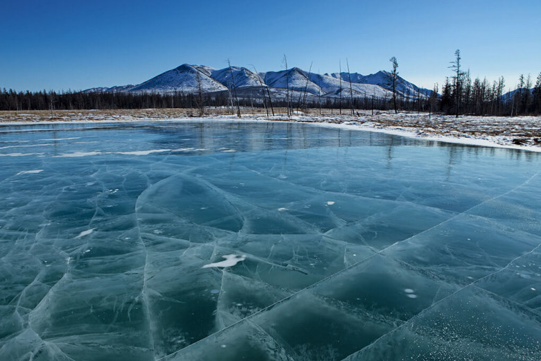 Фото: Сергей Карпухин и Марина Маковецкая / ПОРА