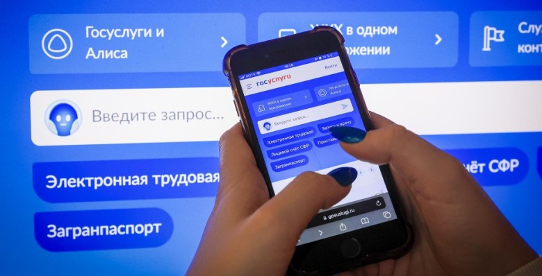 НКО отправляют в сети через «Госуслуги»