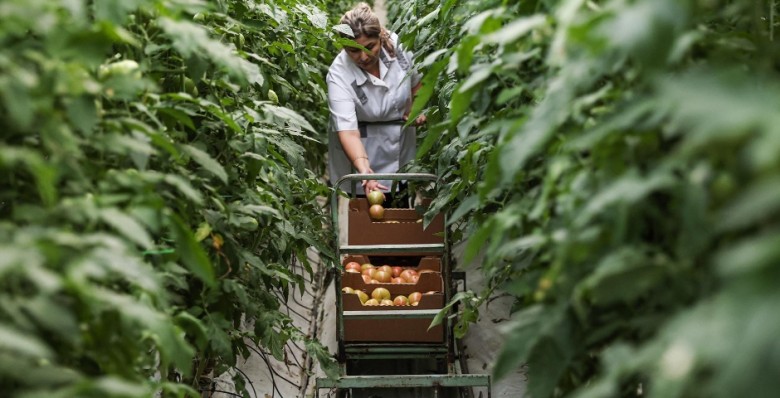 Органическим продуктам дадут дозреть