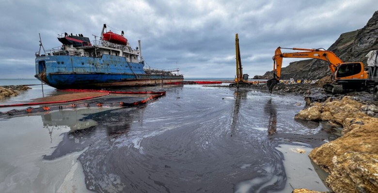 Роспотребнадзор: рыба в Черном море не загрязнена нефтепродуктами