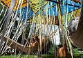 «Архстояние-2024»