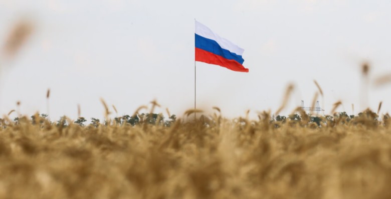 Оксана Лут: урожай в 2024 г. закроет потребности рынка и обеспечит экспорт